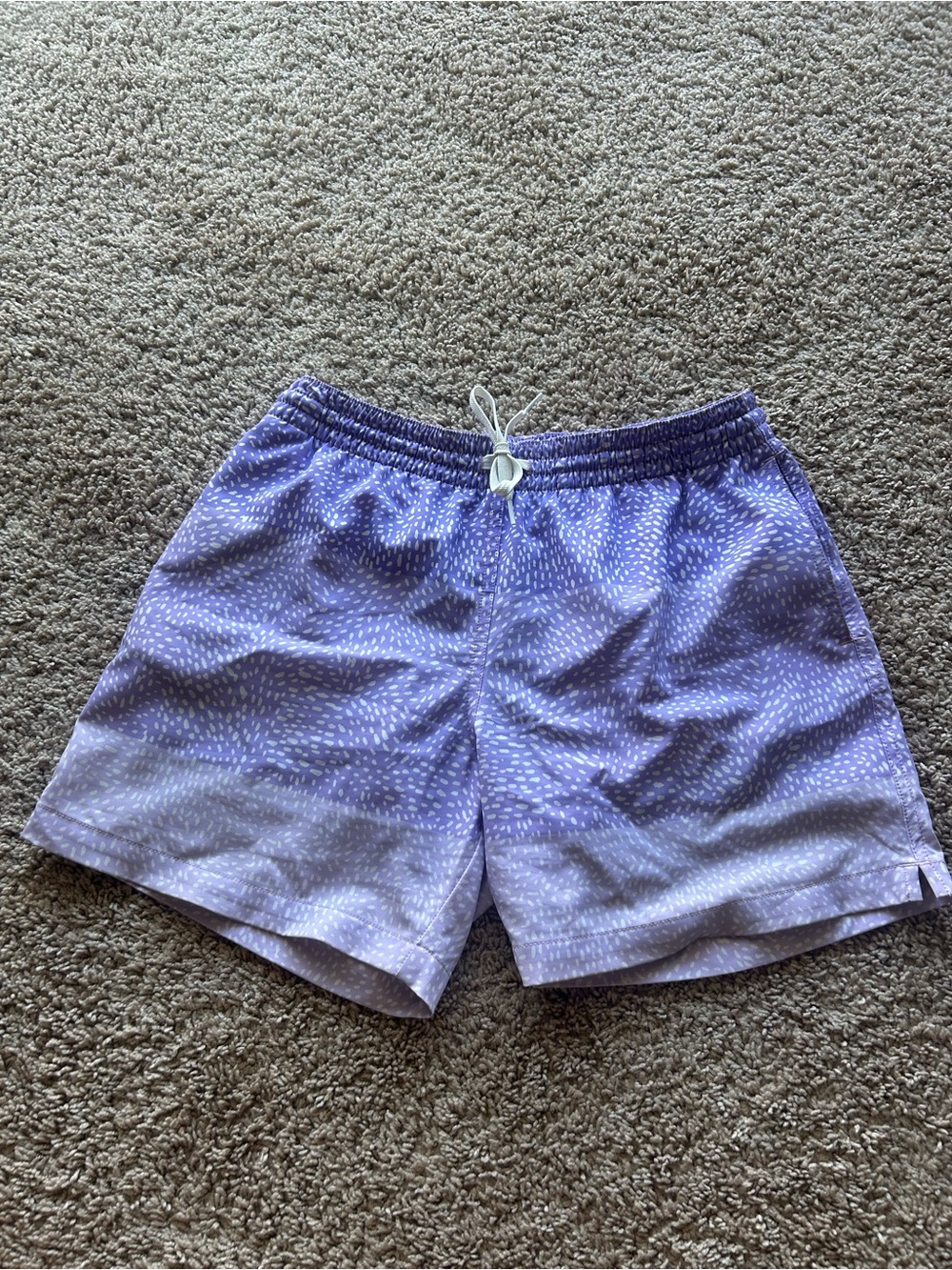 Like New Chubbies Swim Trunks